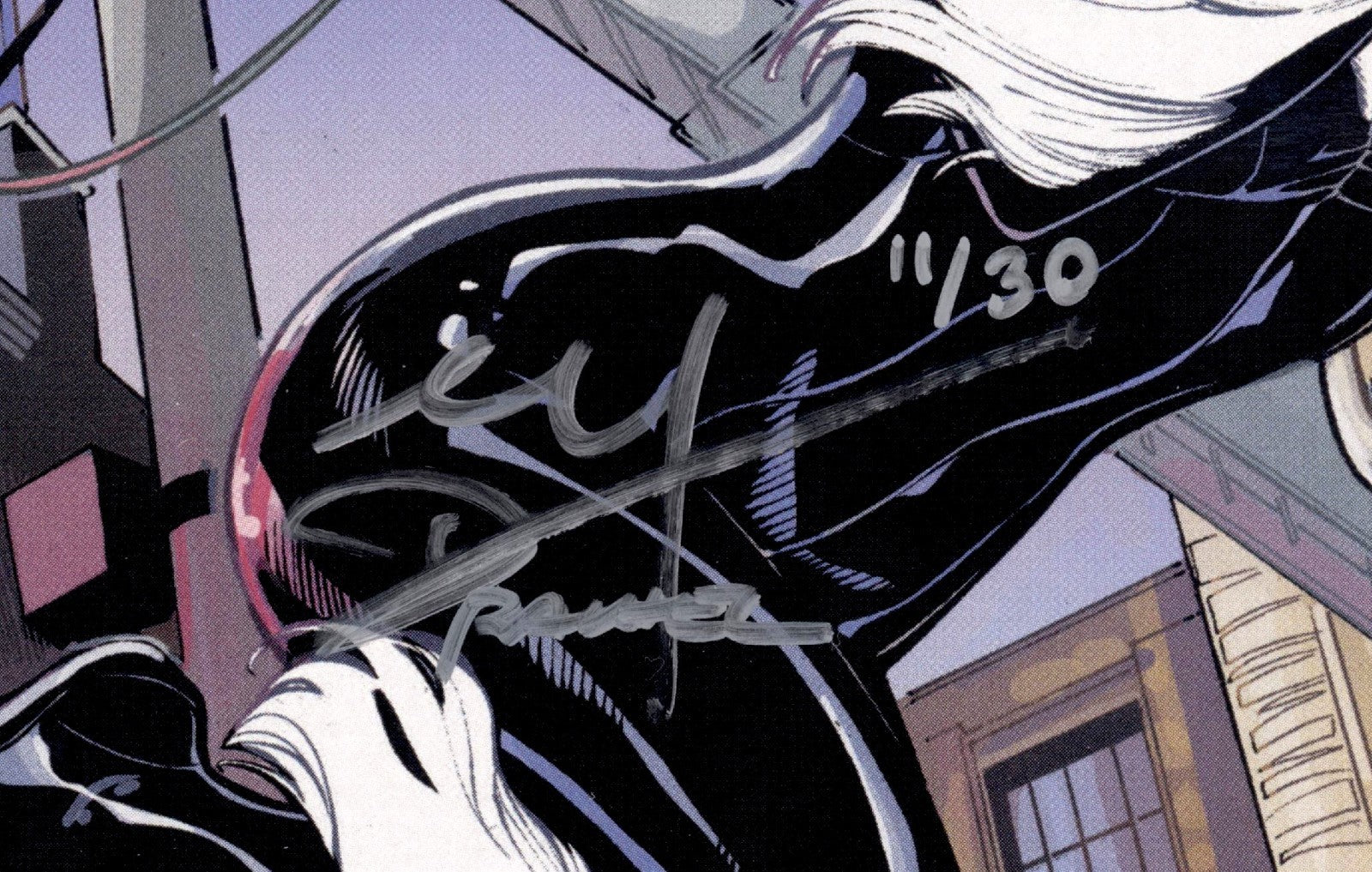 BLACK CAT #1 2nd Printing Variant SIGNED & Numbered By Terry & Rachel Dodson